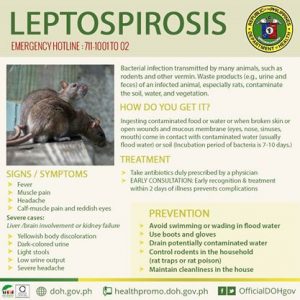 Leptospirosis/Philippines DOH Facebook page