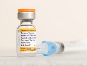 pertussis vaccine