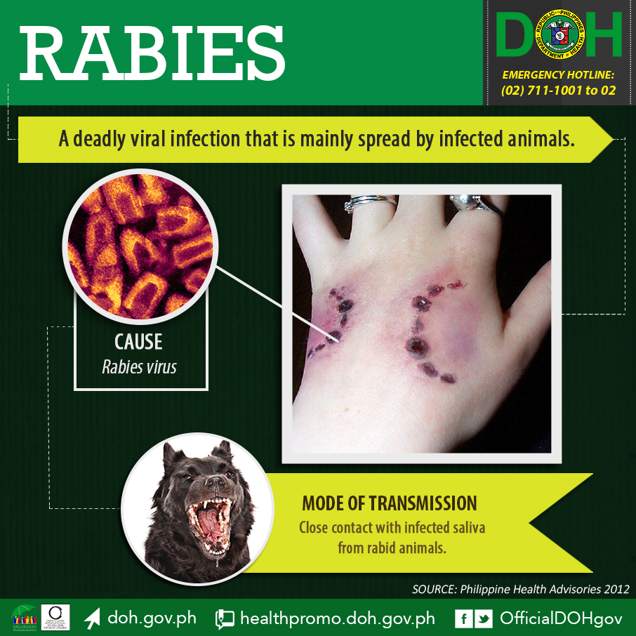Cebu: Human rabies death reported in Mandaue City - Outbreak News Today
