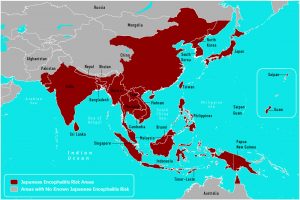 Japanese encephalitis geography/CDC