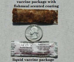Rabies vaccine/