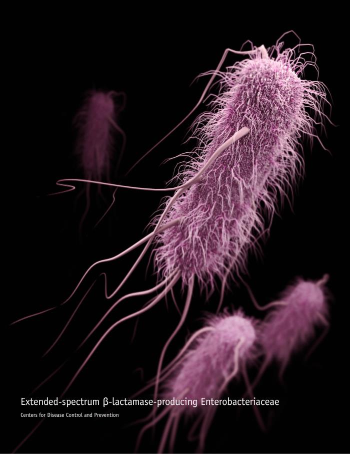 Extended-spectrum ß-lactamase-producing Enterobacteriaceae (ESBLs) bacteria/U.S. Centers for Disease Control and Prevention - Medical Illustrator