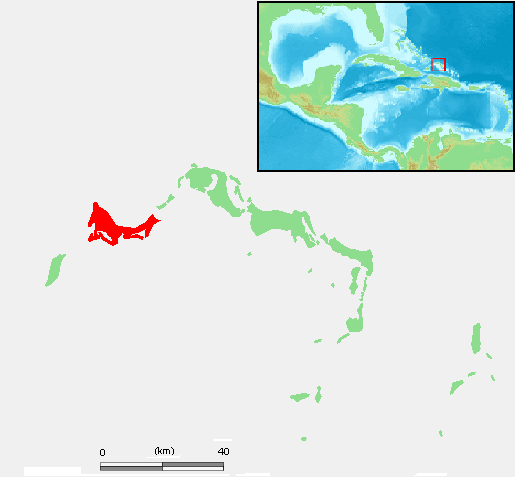 Turks and Caicos Islands Providenciales Image/ M.Minderhoud