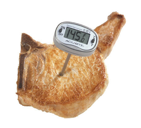 Meat thermometer/USDA