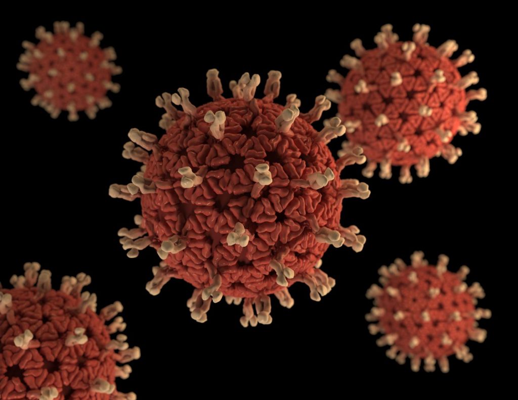 The organism's characteristic wheel-like appearance under the electron microscope gives the rotavirus its name from the Latin word 'rota,' meaning 'wheel.' Image/CDC/Jessica A. Allen/Alliza Eckerd.