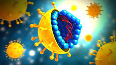 hepatitis C Image/CDC
