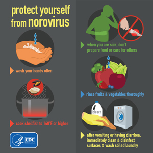 info-norovirus