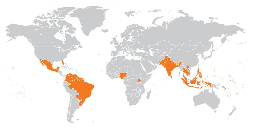 Zika virus has spread to many countries where dengue virus is endemic. Image/La Jolla Institute for Allergy and Immunology