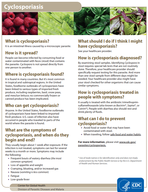 cyclospora