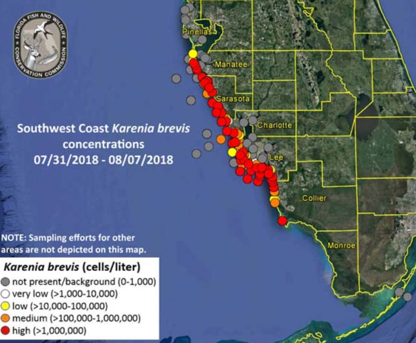 Florida Red Tide Image/Florida Fish and Wildlife Conservation Commission