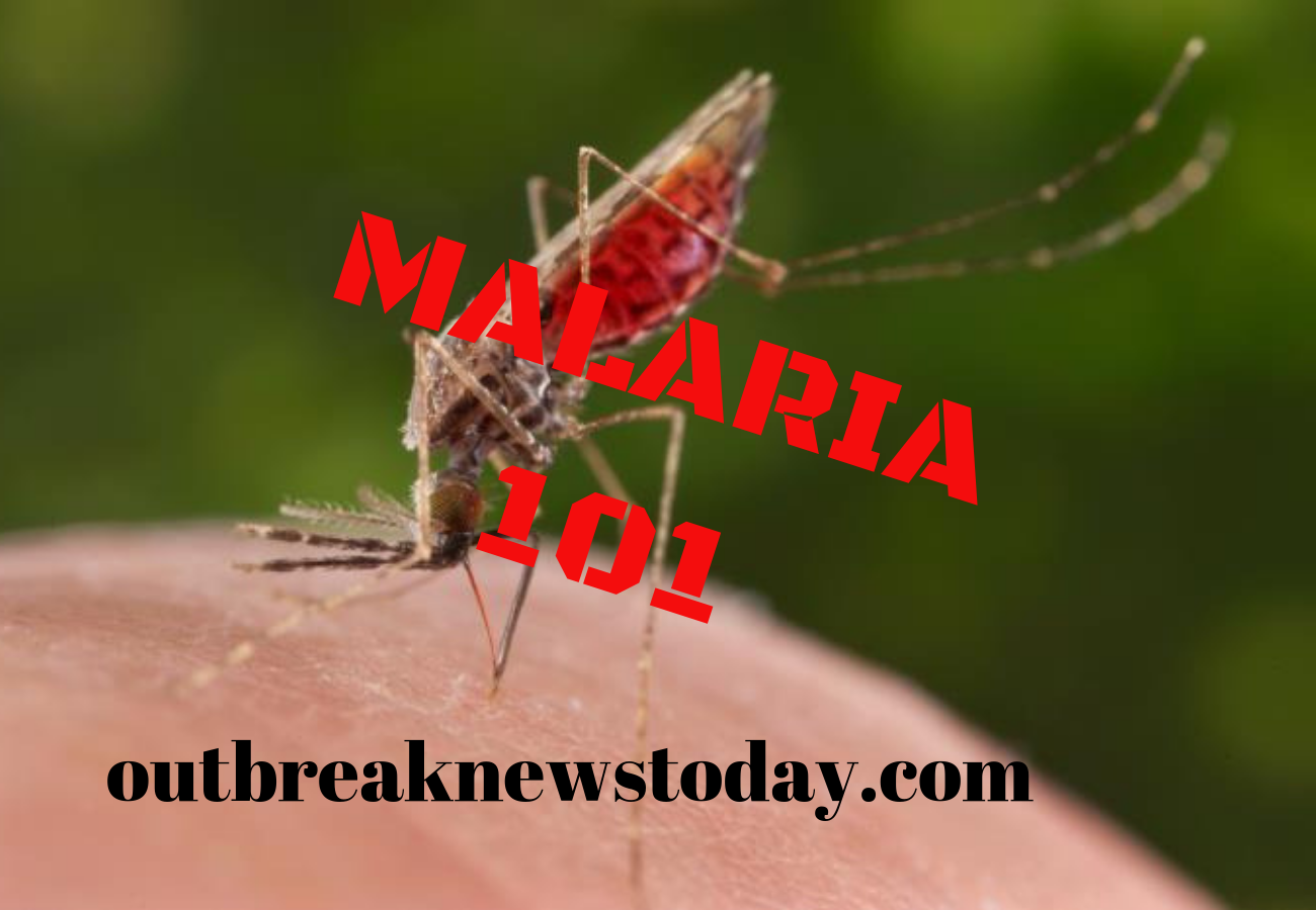 Malaria 101 - Outbreak News Today1300 x 900