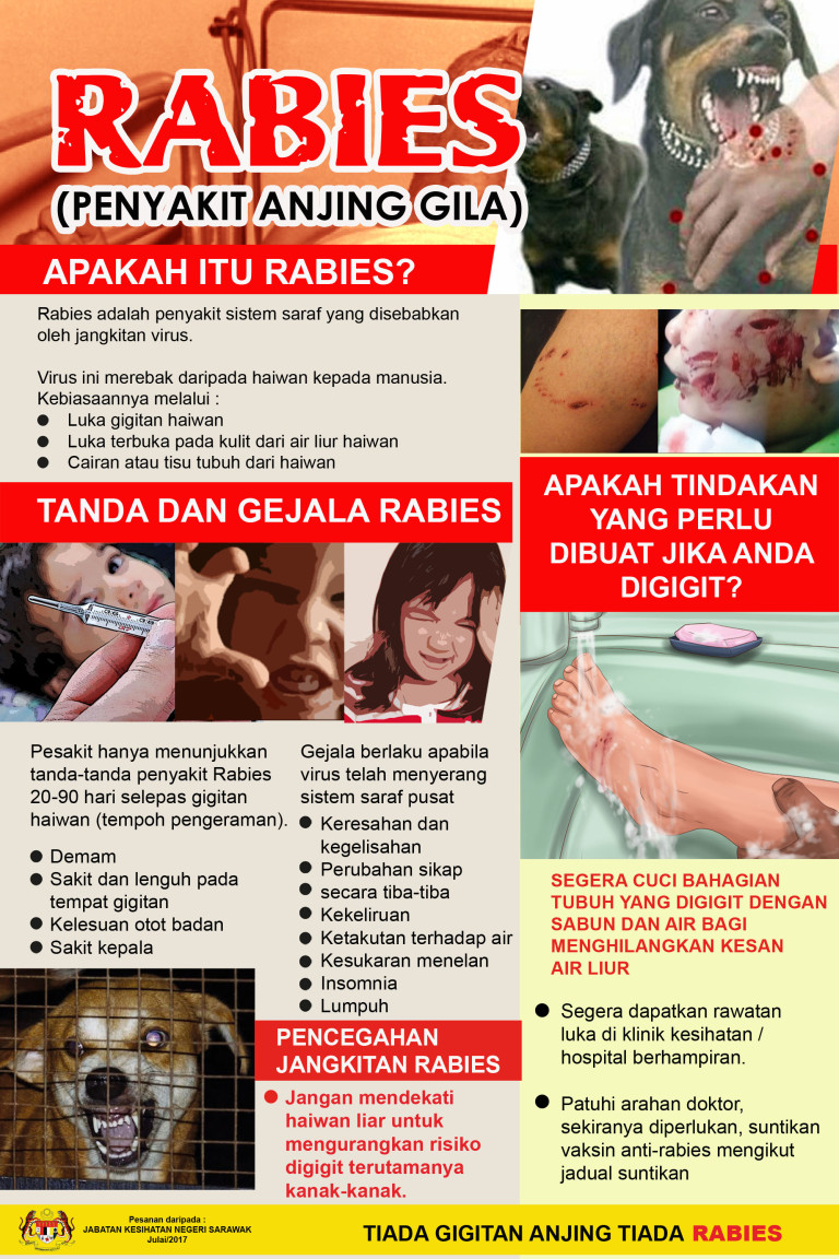 Malaysia: Sarawak reports 1st rabies death of 2020 - Outbreak News Today