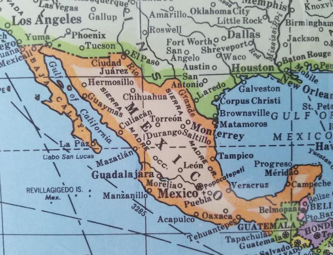 Los CDC advierten a los viajeros sobre la Salmonella multirresistente (MDR) Newport en México