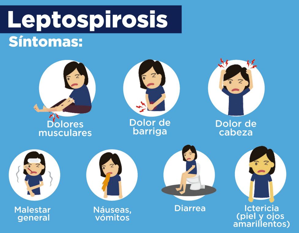 Ecuador reports leptospirosis in Guayas province