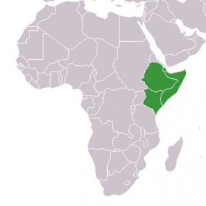 Horn of Africa map Public domain image/ Lexicon at the English Wikipedia project