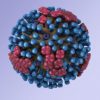 generic influenza virion