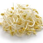 Bean Sprouts/CDC