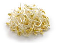 Bean Sprouts/CDC