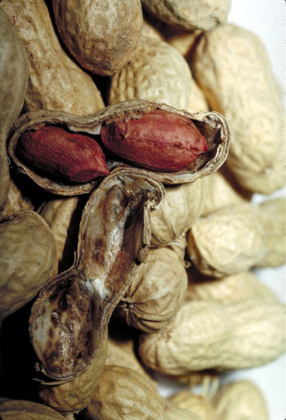 Peanuts Image/USDA