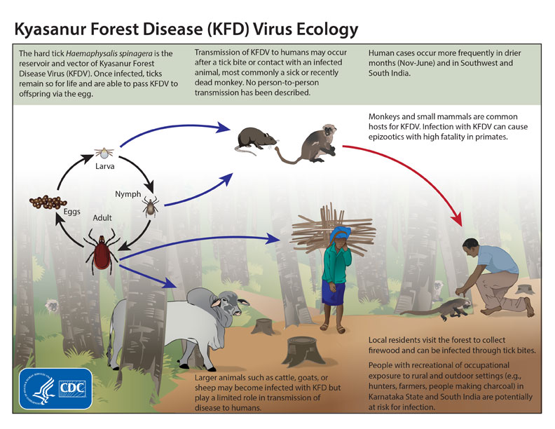 Kyasanur Forest disease/CDC