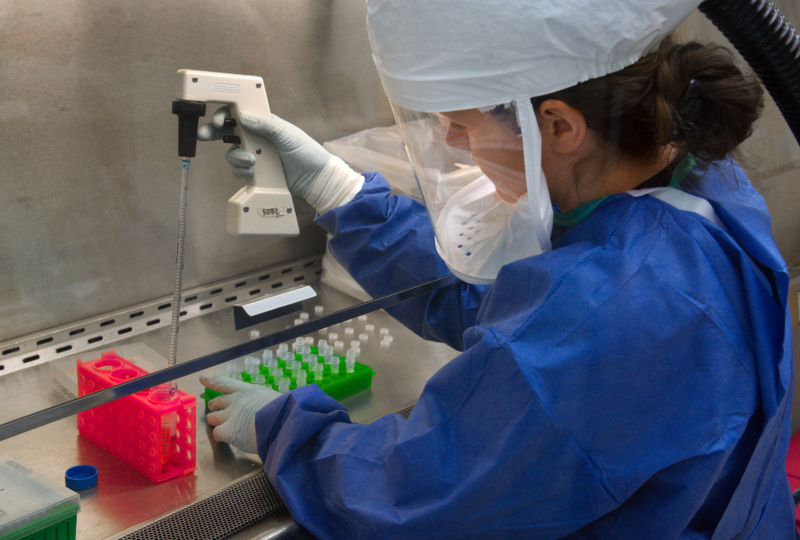  A CDC scientist uses a pipette to transfer H7N9 virus/James Gathany