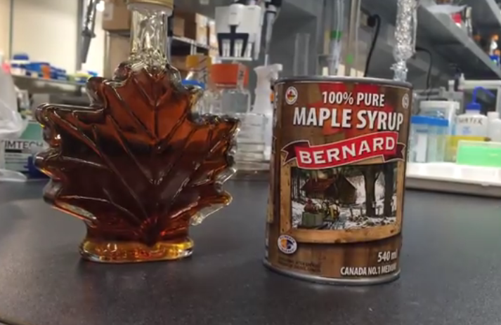 Maple syrup/Video Screen Shot