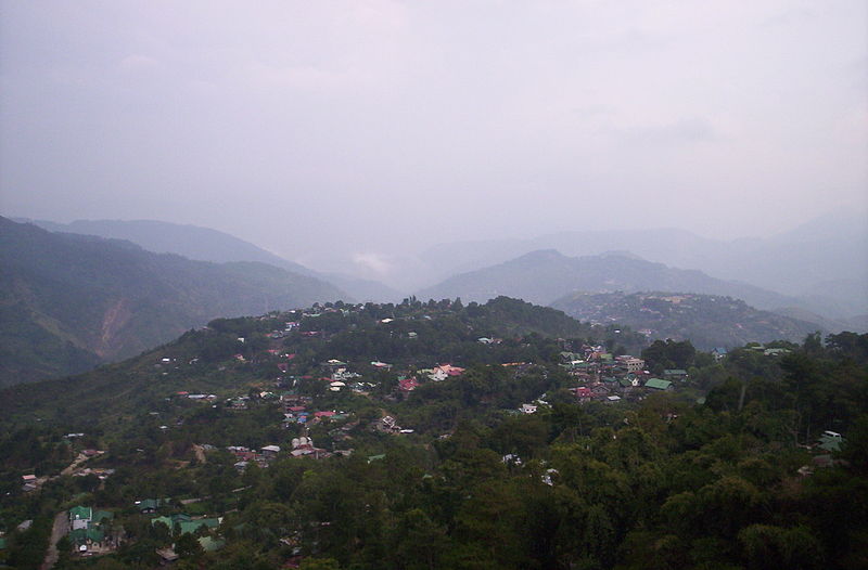 Public domain image/https://commons.wikimedia.org/wiki/File:04_16_2006_Mines_View_Park_Baguio_City_(3).jpg