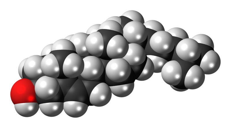 Cholesterol molecule Image/Jynto