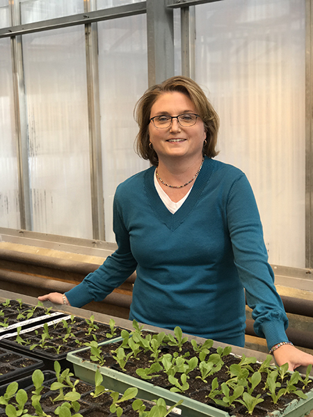 Amanda Deering, Purdue professor in the Department of Food Sciences, researches the ability of foodborne pathogens to grow and remain on or in plant tissue such as romaine lettuce. (Photo Purdue)