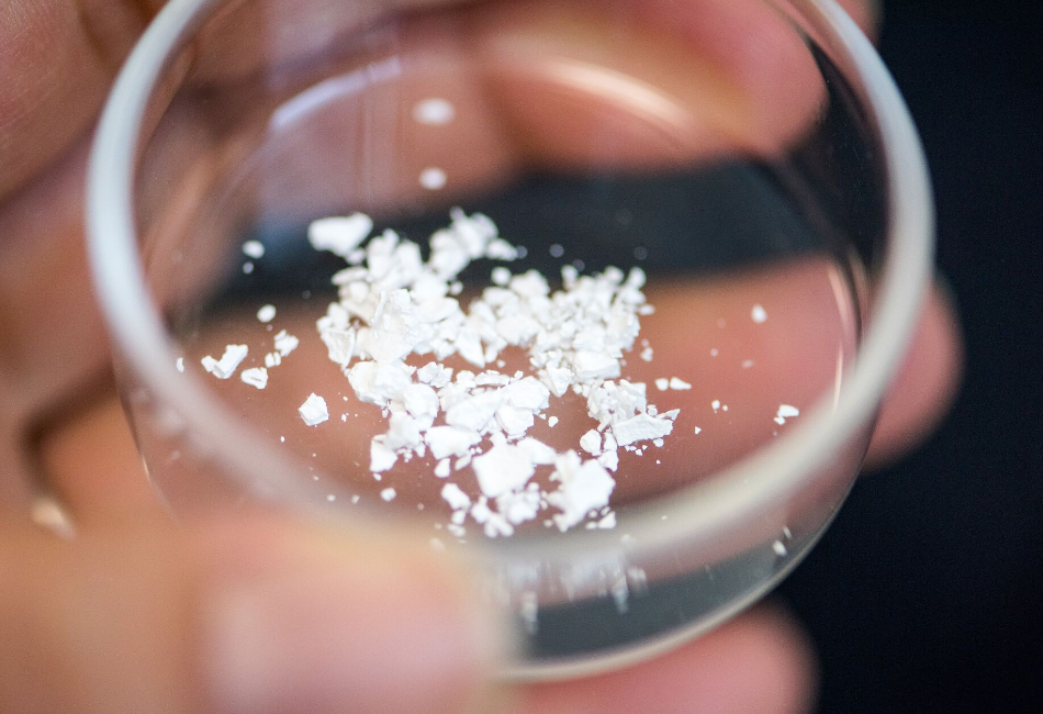 Ensilicated proteins in powder form Image/Chris Melvin--University of Bath