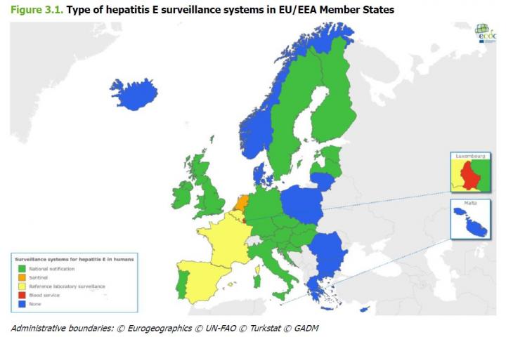 Of the 30 Member States responding to the ECDC survey, 20 (67%) have hepatitis E-specific surveillance systems in place. The remaining 10 countries have no HEV-specific surveillance, but may have generic viral hepatitis surveillance. Image/ECDC/European Centre for Disease prevention and Control