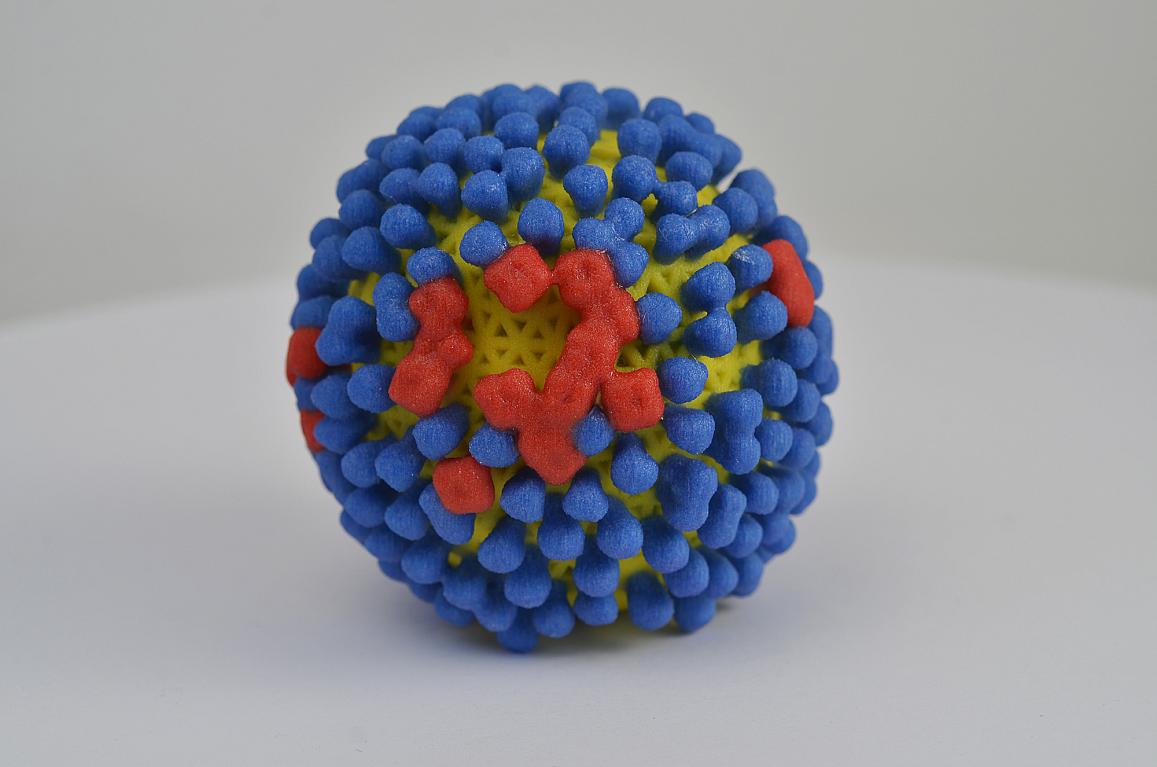3D print of influenza virus. The virus surface (yellow) is covered with proteins called hemagglutinin (blue) and neuraminidase (red). NIH