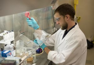 Doctoral student Kris Short works to prepare vaccine formulations for the University of Montana's Center for Translational Medicine. Image/University of Montana