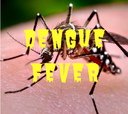 Brasil: declarada epidemia de dengue no estado do Paraná