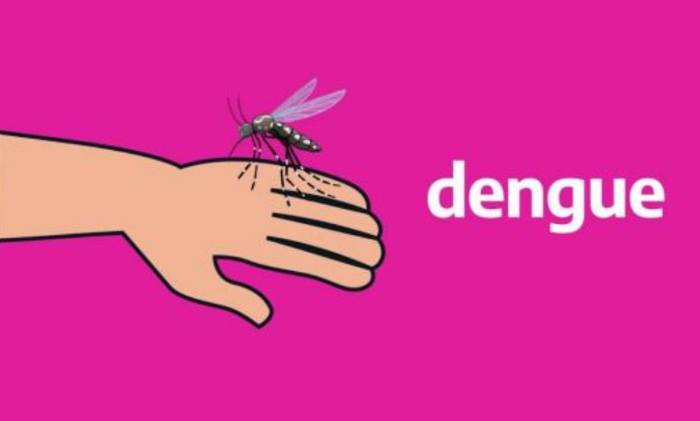 Argentina: El gobierno de Salta reportó más de 100 casos de dengue la semana pasada