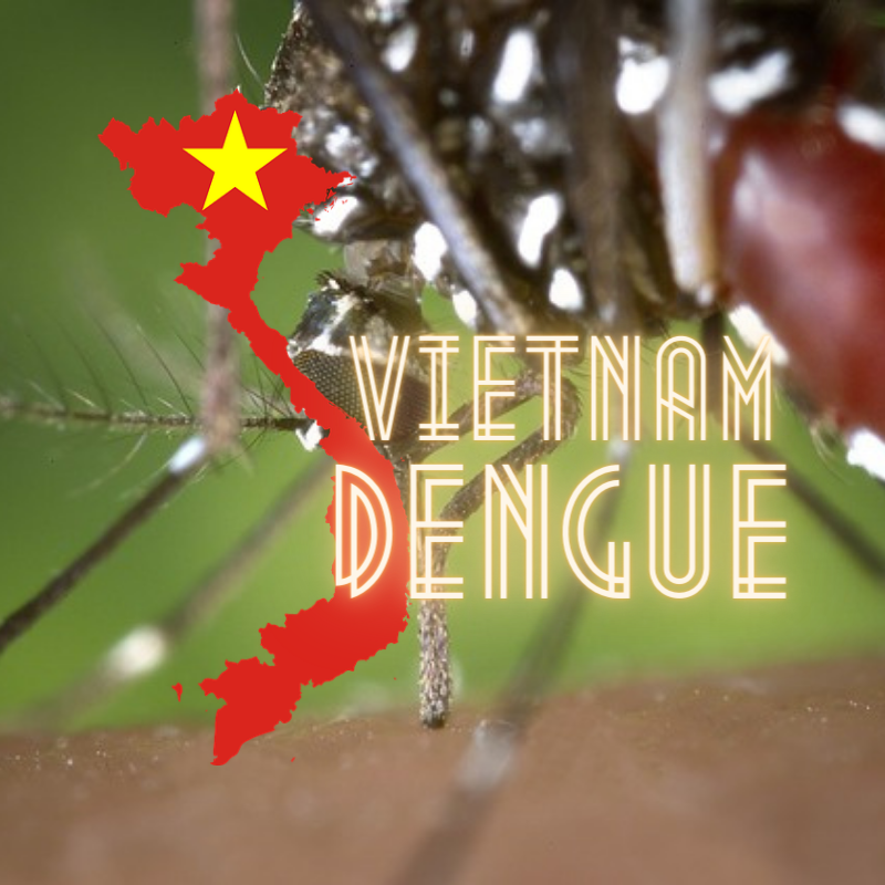 Số ca sốt xuất huyết ở Việt Nam dự kiến ​​lên tới 325.000 vào năm 2022