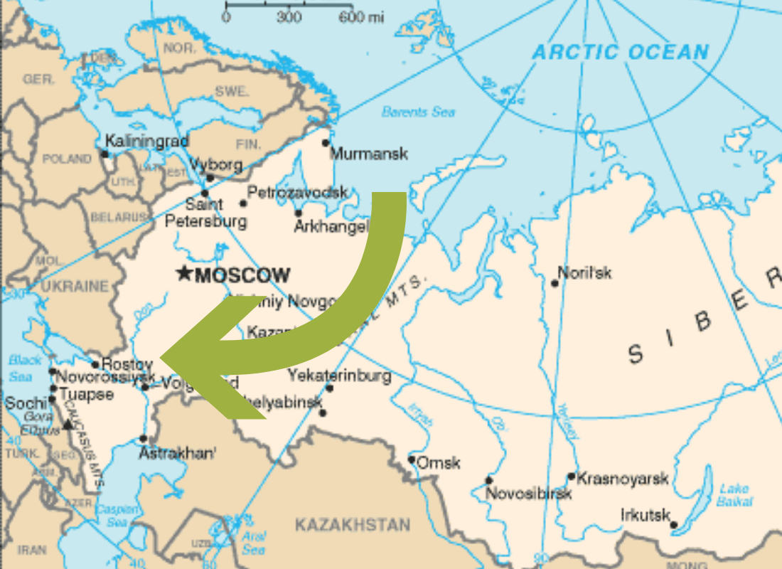 Rusia: se confirmaron 19 casos de fiebre en la región de Rostov