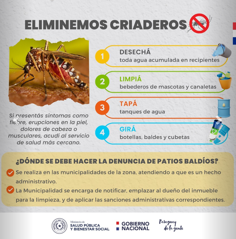 Paraguay: Los casos de chikungunya están disminuyendo, pero el dengue va en aumento