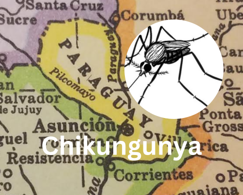 Chikungunya en Paraguay: más de la mitad de los casos reportados están fuera de Asunción y Central