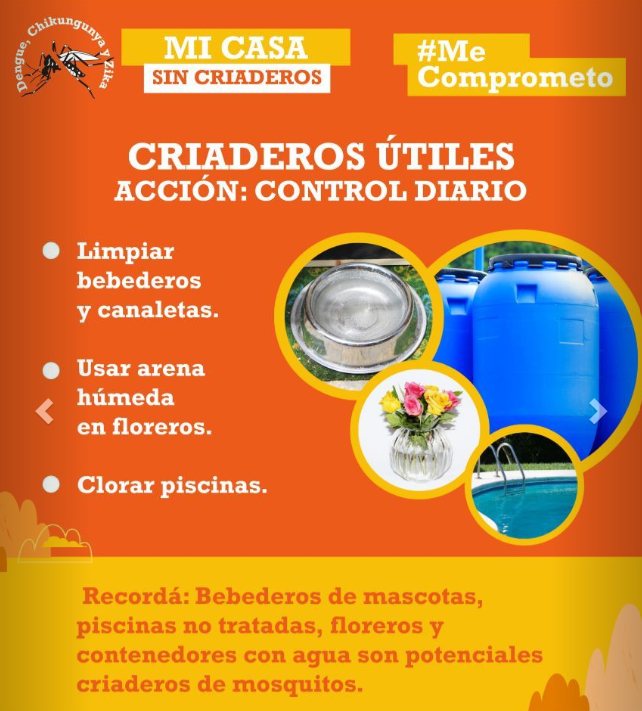 Paraguay reports an increase in dengue in eight health regions, Chikungunya continues decline